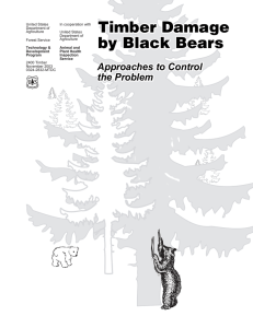 Timber Damage by Black Bears