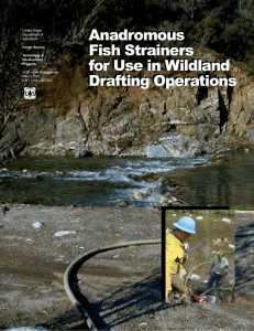 Anadromous Fish Strainers for Use in Wildland Drafting Operations
