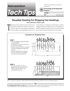 T Reforestation Reusable Toweling For Wrapping Tree Seedlings Technology &amp; Development