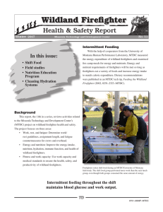 Wildland Firefighter Health &amp; Safety Report In	this	issue: