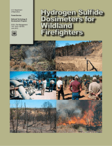 Hydrogen Sulfide Dosimeters for Wildland Firefighters