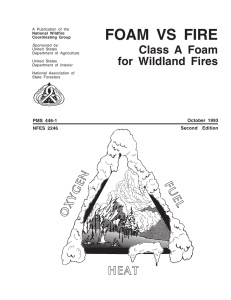 FOAM VS FIRE Class A Foam for Wildland Fires