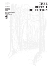 TREE DEFECT DETECTION United States