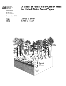 A Model of Forest Floor Carbon Mass James E. Smith