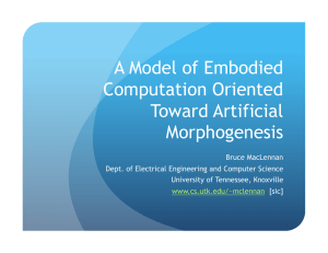 A Model of Embodied Computation Oriented Toward Artificial Morphogenesis