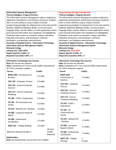 The Information Systems Management option emphasizes Information Systems Management