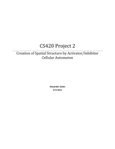 CS420 Project 2 Creation of Spatial Structure by Activator/Inhibitor Cellular Automaton