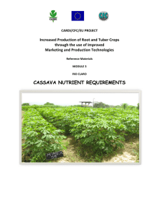 Increased Production of Root and Tuber Crops Marketing and Production Technologies