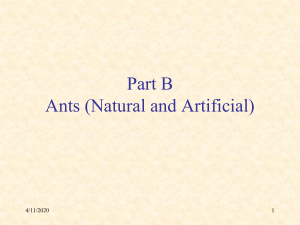 Part B Ants (Natural and Artificial) 5/29/2016 1