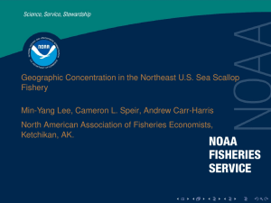 Geographic Concentration in the Northeast U.S. Sea Scallop Fishery