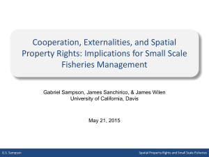 Cooperation, Externalities, and Spatial Property Rights: Implications for Small Scale Fisheries Management