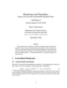 Membranes and Nanotubes: