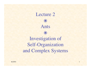 Lecture 2 Z Ants Investigation of