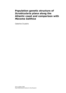 Population genetic structure of Atlantic coast and comparison with Scrobicularia plana Macoma balthica