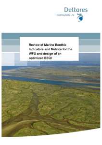 Deltares Review of Marine  Benthic Indicators and  Metrics for the