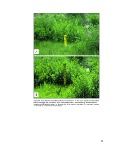 Figure 31—Use of double meter boards for topic identification (in... A