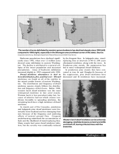 The number of acres defoliated by western spruce budworm has... compared to 1995 (right), especially in the Okanogan area (northeast...