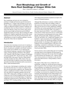 Root Morphology and Growth of Bare-Root Seedlings of Oregon White Oak Abstract