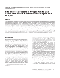 Oregon White Oak ite and Tree Fact  Siiiitttte