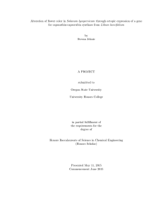Alteration of flower color in Solanum lycopersicum through ectopic expression... for capsanthin-capsorubin synthase from Lilium lancifolium