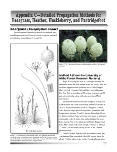 Appendix C—Detailed Propagation Methods for Beargrass, Heather, Huckleberry, and Partridgefoot Beargrass Xerophyllum tenax)