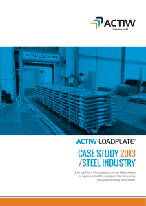 CASE STUDY STEEL INDUSTRY 2013 /