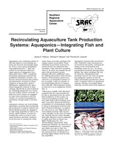 Aquaponics, the combined culture of many times, non-toxic nutrients and