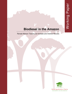 Biodiesel in the Amazon