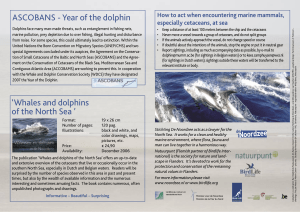 ASCOBANS - Year of the dolphin especially cetaceans, at sea