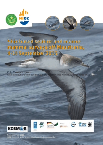 Ship-based seabird and marine mammal surveys off Mauritania,