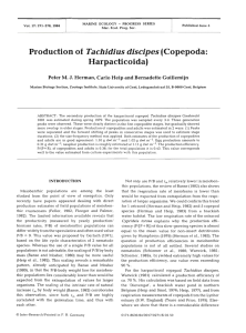 l 1 Tachidius discipes Production of