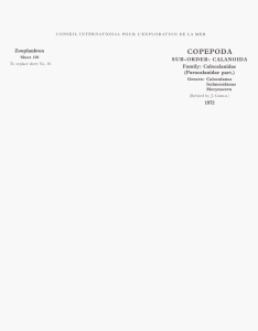 COPEPODA Zooplankton S U B - O R D E R : CALANOIDA