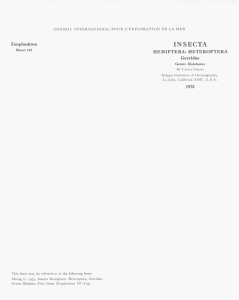 INSECTA Zooplankton HEMIPTERA: HETEROPTERA