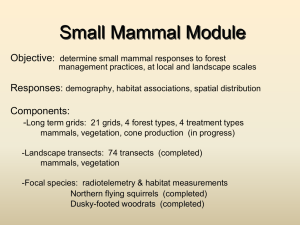 Small Mammal Module Objective Responses :