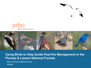 Using Birds to Help Guide Post-fire Management in the 4/2/2010