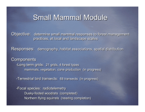 Small Mammal Module Objective:  Responses: