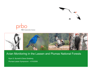 Avian Monitoring in the Lassen and Plumas National Forests