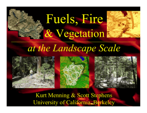 Fuels, Fire &amp; Vegetation at the Landscape Scale Kurt Menning &amp; Scott Stephens