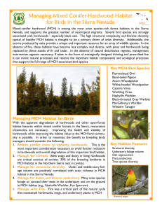 Managing Mixed Conifer-Hardwood Habitat for Birds in the Sierra Nevada