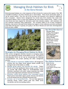 Managing Shrub Habitats for Birds in the Sierra Nevada