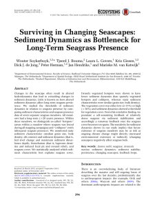Surviving in Changing Seascapes: Sediment Dynamics as Bottleneck for Long-Term Seagrass Presence
