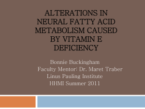 ALTERATIONS IN NEURAL FATTY ACID METABOLISM CAUSED BY VITAMIN E