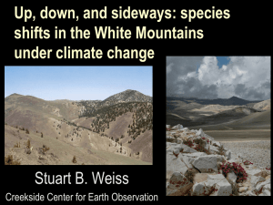 Up, down, and sideways: species shifts in the White Mountains