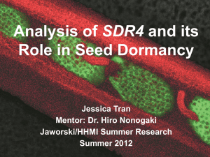 SDR4 Role in Seed Dormancy Jessica Tran Mentor: Dr. Hiro Nonogaki