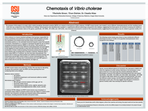 Vibrio cholerae Chemotaxis of Abstract *Rochelle Glover, *Evan Dishion, Dr. Claudia Häse