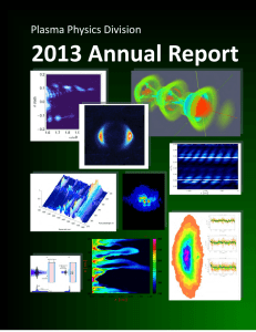 2013 Plasma Physics Division