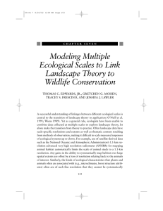 Modeling Multiple Ecological Scales to Link Landscape Theory to Wildlife Conservation