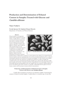 Candida albicans Production and Determination of Ethanol Tijana Vasiljevic