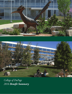 College of DuPage Benefit Summary