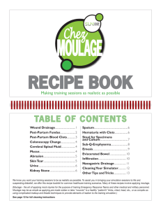 RECIPE BOOK Making training sessions as realistic as possible